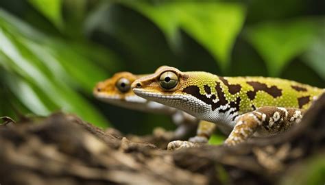  Queensland Leaf-Tailed Gecko: A Master of Disguise That Can Also Climb Walls Like Spiderman!